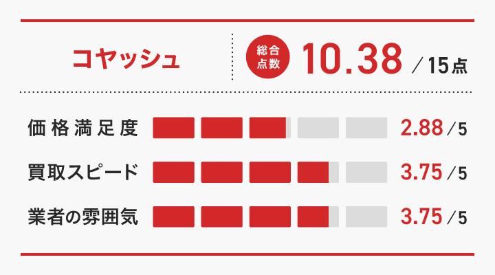 コヤッシュのレーダーチャート