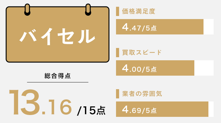 バイセルのレーダーチャート