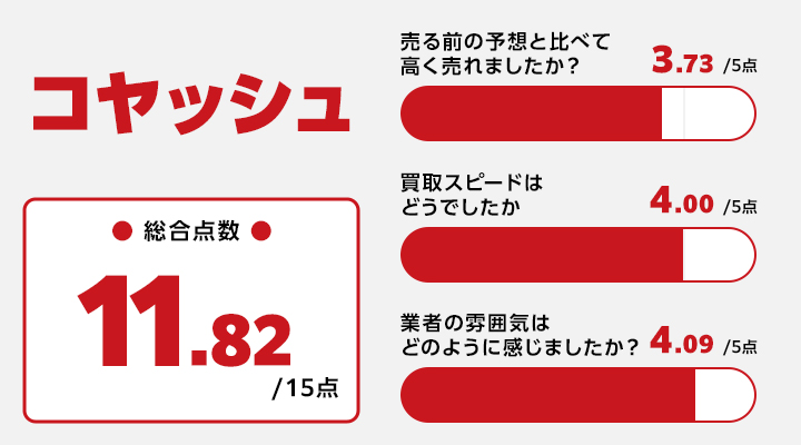 コヤッシュのレーダーチャート