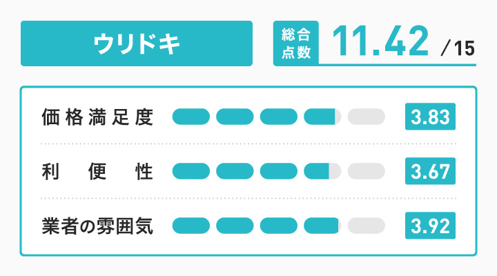 ウリドキレーダーチャート